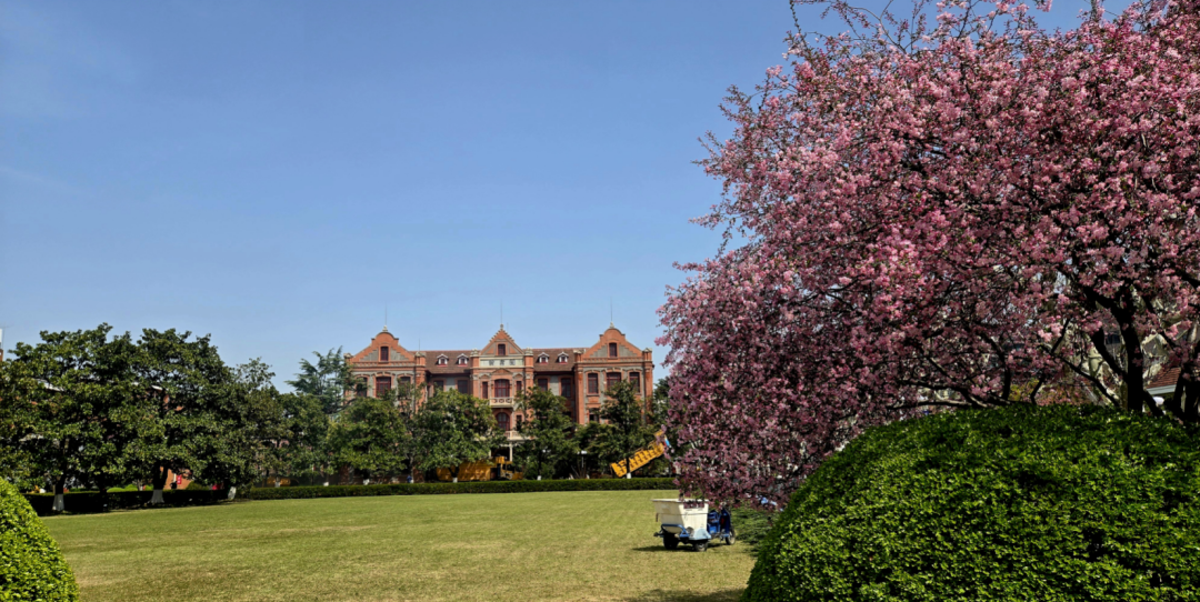 1775639825785262.png 640 (18).png